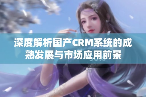 深度解析国产CRM系统的成熟发展与市场应用前景
