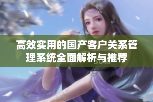 高效实用的国产客户关系管理系统全面解析与推荐