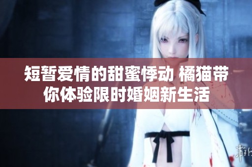 短暂爱情的甜蜜悸动 橘猫带你体验限时婚姻新生活