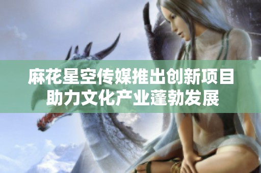 麻花星空传媒推出创新项目 助力文化产业蓬勃发展