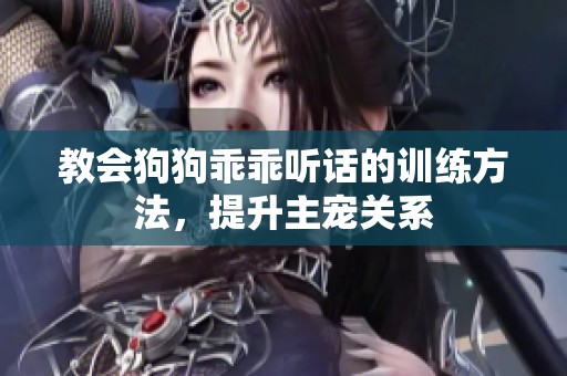 教会狗狗乖乖听话的训练方法，提升主宠关系