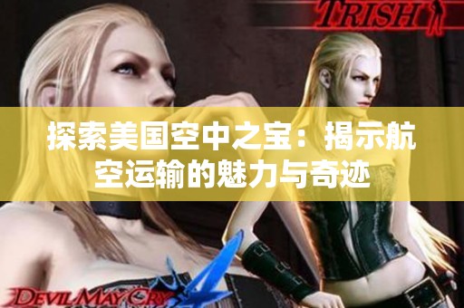探索美国空中之宝：揭示航空运输的魅力与奇迹