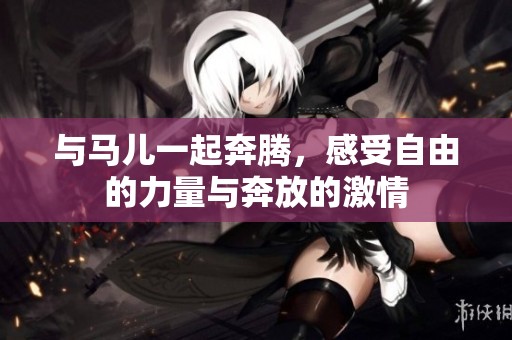 与马儿一起奔腾，感受自由的力量与奔放的激情
