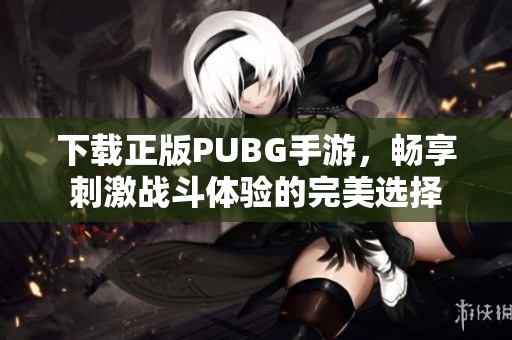 下载正版PUBG手游，畅享刺激战斗体验的完美选择