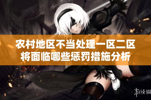 农村地区不当处理一区二区将面临哪些惩罚措施分析