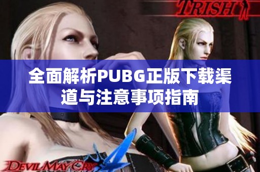 全面解析PUBG正版下载渠道与注意事项指南
