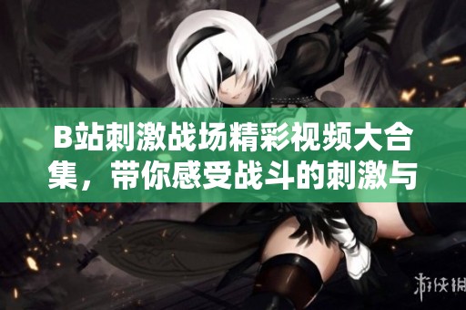 B站刺激战场精彩视频大合集，带你感受战斗的刺激与乐趣