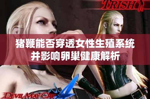 猪鞭能否穿透女性生殖系统并影响卵巢健康解析
