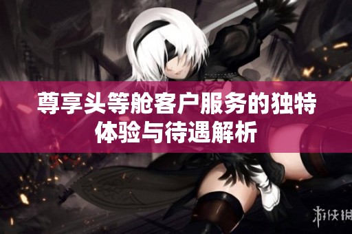 尊享头等舱客户服务的独特体验与待遇解析