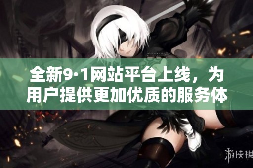 全新9·1网站平台上线，为用户提供更加优质的服务体验