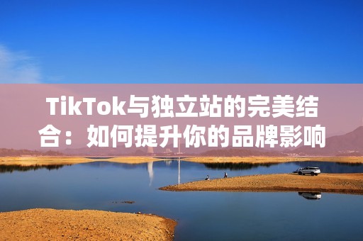 TikTok与独立站的完美结合：如何提升你的品牌影响力