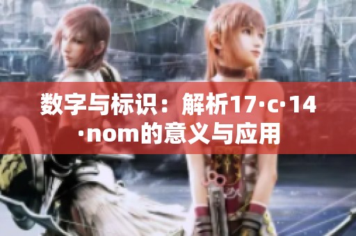 数字与标识：解析17·c·14·nom的意义与应用