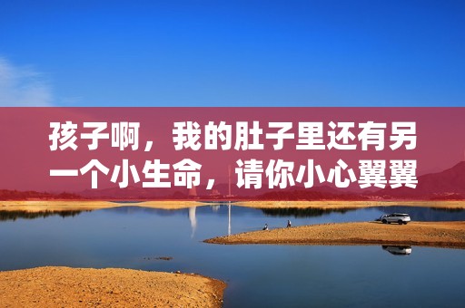 孩子啊，我的肚子里还有另一个小生命，请你小心翼翼