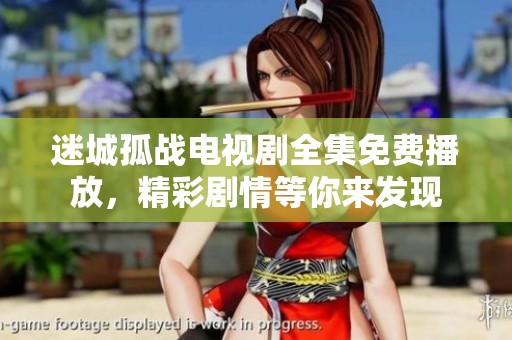 迷城孤战电视剧全集免费播放，精彩剧情等你来发现
