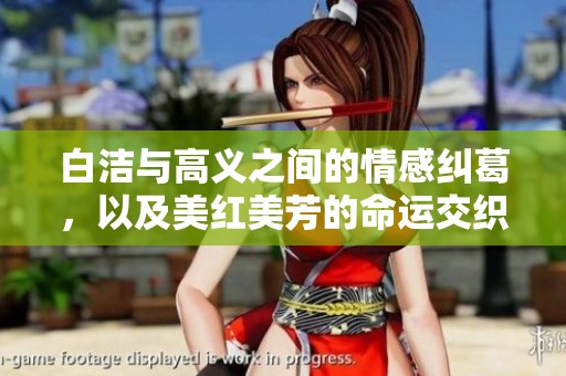 白洁与高义之间的情感纠葛，以及美红美芳的命运交织