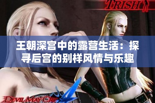 王朝深宫中的露营生活：探寻后宫的别样风情与乐趣