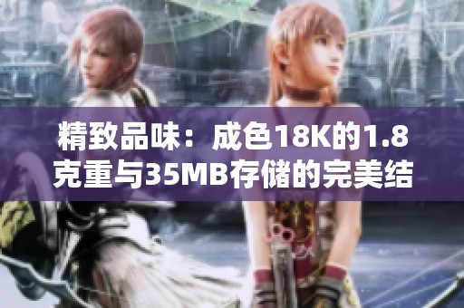 精致品味：成色18K的1.8克重与35MB存储的完美结合