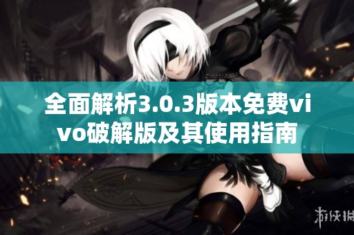 全面解析3.0.3版本免费vivo破解版及其使用指南