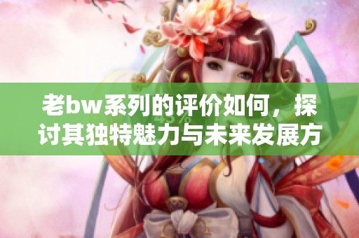 老bw系列的评价如何，探讨其独特魅力与未来发展方向