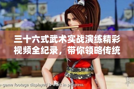 三十六式武术实战演练精彩视频全纪录，带你领略传统技艺魅力