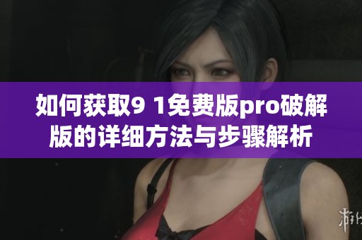 如何获取9 1免费版pro破解版的详细方法与步骤解析