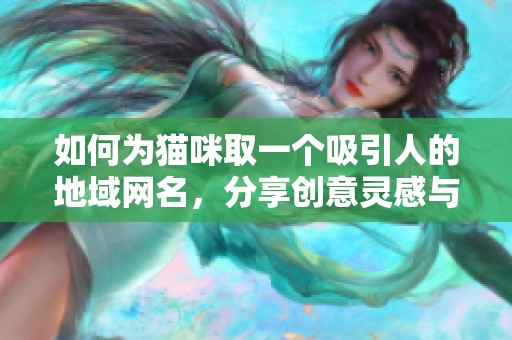 如何为猫咪取一个吸引人的地域网名，分享创意灵感与技巧