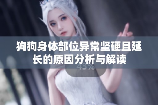 狗狗身体部位异常坚硬且延长的原因分析与解读