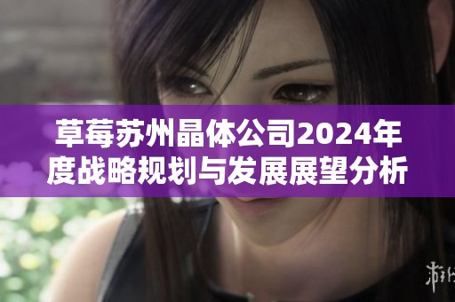 草莓苏州晶体公司2024年度战略规划与发展展望分析