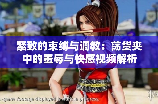 紧致的束缚与调教：荡货夹中的羞辱与快感视频解析