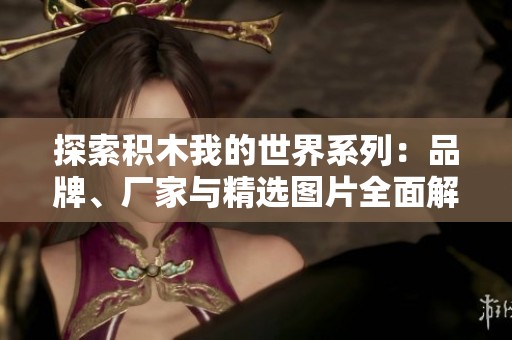 探索积木我的世界系列：品牌、厂家与精选图片全面解析