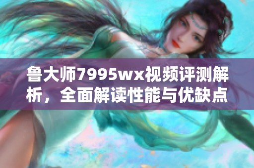 鲁大师7995wx视频评测解析，全面解读性能与优缺点