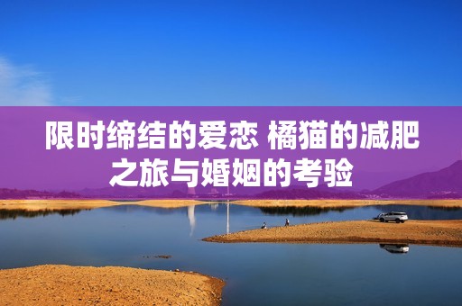 限时缔结的爱恋 橘猫的减肥之旅与婚姻的考验