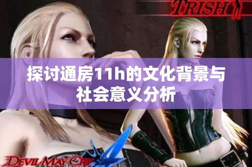探讨通房11h的文化背景与社会意义分析