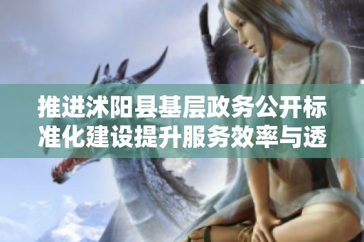 推进沭阳县基层政务公开标准化建设提升服务效率与透明度
