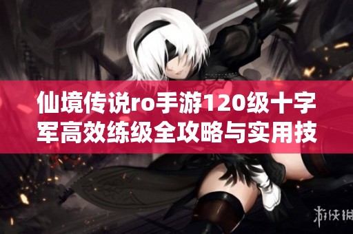 仙境传说ro手游120级十字军高效练级全攻略与实用技巧分享