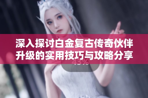 深入探讨白金复古传奇伙伴升级的实用技巧与攻略分享