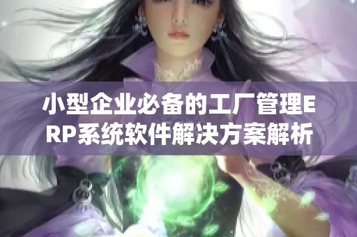 小型企业必备的工厂管理ERP系统软件解决方案解析