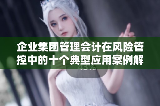 企业集团管理会计在风险管控中的十个典型应用案例解析