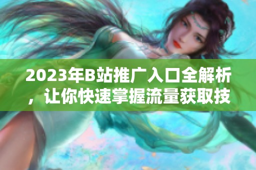 2023年B站推广入口全解析，让你快速掌握流量获取技巧
