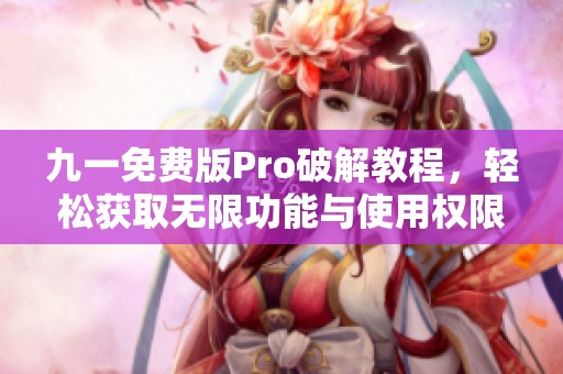 九一免费版Pro破解教程，轻松获取无限功能与使用权限