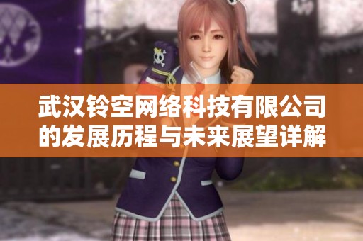 武汉铃空网络科技有限公司的发展历程与未来展望详解