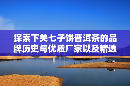探索下关七子饼普洱茶的品牌历史与优质厂家以及精选图片展示