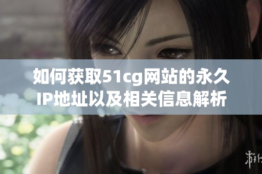 如何获取51cg网站的永久IP地址以及相关信息解析