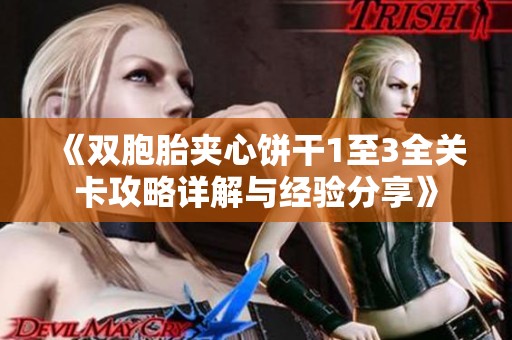 《双胞胎夹心饼干1至3全关卡攻略详解与经验分享》