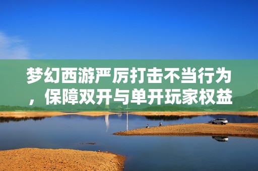 梦幻西游严厉打击不当行为，保障双开与单开玩家权益