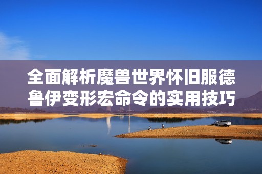 全面解析魔兽世界怀旧服德鲁伊变形宏命令的实用技巧