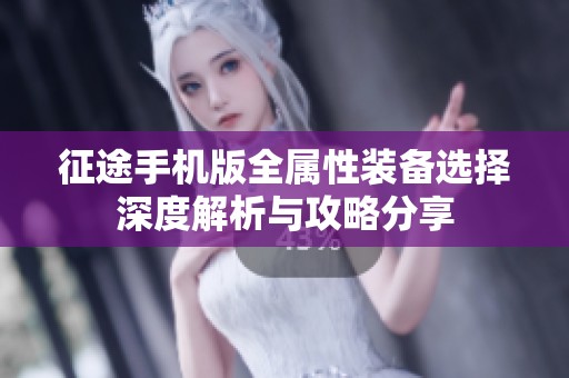 征途手机版全属性装备选择深度解析与攻略分享