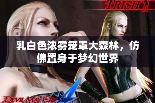 乳白色浓雾笼罩大森林，仿佛置身于梦幻世界