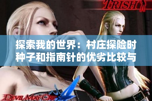 探索我的世界：村庄探险时种子和指南针的优劣比较与选择办法