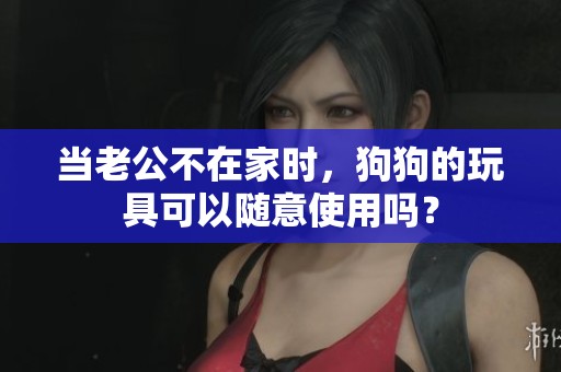当老公不在家时，狗狗的玩具可以随意使用吗？